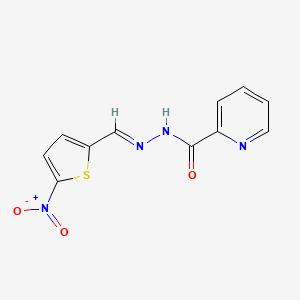 N'-[(E)-(5-nitrothiophen-2-yl)methylidene]pyridine-2-carbohydrazide