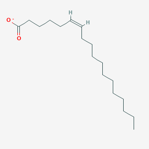 molecular formula C18H33O2- B1238263 Petroselinate 