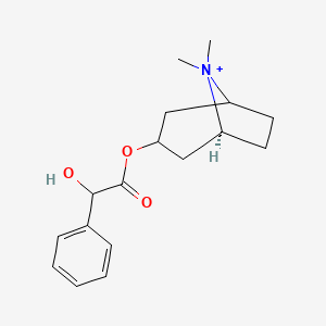 molecular formula C17H24NO3+ B1238272 2-hydroxy-2-phenylacetic acid [(5S)-8,8-dimethyl-8-azoniabicyclo[3.2.1]octan-3-yl] ester 