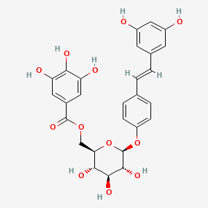 molecular formula C27H26O12 B1238381 [(2R,3S,4S,5R,6S)-6-[4-[(E)-2-(3,5-dihydroxyphenyl)ethenyl]phenoxy]-3,4,5-trihydroxyoxan-2-yl]methyl 3,4,5-trihydroxybenzoate CAS No. 80446-63-5