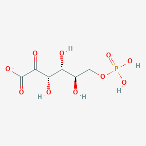 molecular formula C6H10O10P- B1238391 6-phospho-2-dehydro-D-gluconate(1-) 