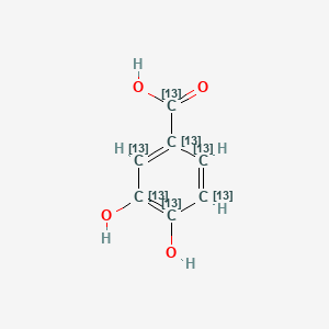 Protocatechuic acid-13C7