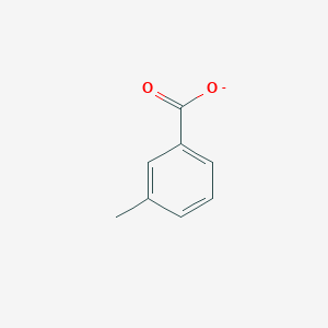 molecular formula C8H7O2- B1238549 3-Methylbenzoate 