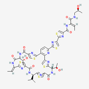 molecular formula C48H49N13O9S6 B1238564 Micrococcin P1 
