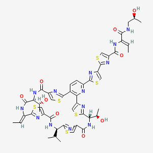 2-[2-[(12S,19R,26Z,29S)-26-ethylidene-12,29-bis[(1R)-1-hydroxyethyl]-14,21,28,31-tetraoxo-19-propan-2-yl-10,17,24,34-tetrathia-6,13,20,27,30,35,36,37,38-nonazahexacyclo[30.2.1.18,11.115,18.122,25.02,7]octatriaconta-1(35),2(7),3,5,8,11(38),15,18(37),22,25(36),32-undecaen-5-yl]-1,3-thiazol-4-yl]-N-[(Z)-1-[[(2S)-2-hydroxypropyl]amino]-1-oxobut-2-en-2-yl]-1,3-thiazole-4-carboxamide