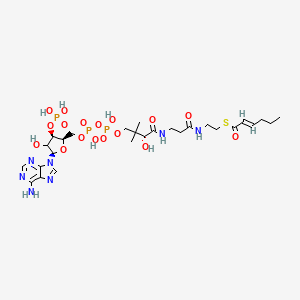molecular formula C27H44N7O17P3S B12386038 (2E)-Hexenoyl-CoA 
