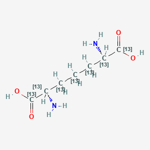 molecular formula C7H14N2O4 B12386169 (2S,6S)-2,6-Diaminoheptanedioic acid-13C7 