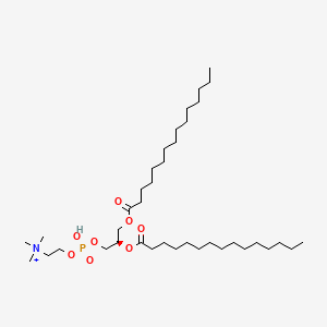 molecular formula C38H77NO8P+ B1238682 Dipentadecanoylphophatidylcholine 