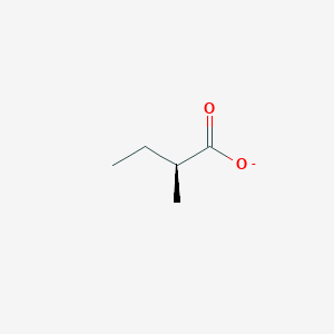 molecular formula C5H9O2- B1238720 (S)-α-甲基丁酸盐 