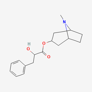 molecular formula C17H23NO3 B12387612 Littorine 