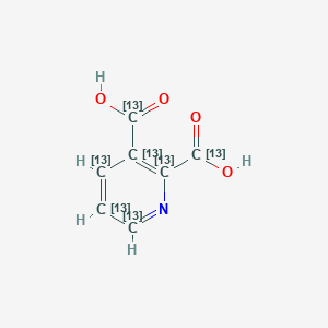 Quinolinic acid-13C7