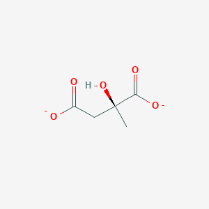 molecular formula C5H6O5-2 B1238813 (S)-2-methylmalate 