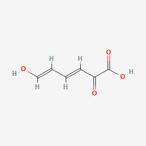 molecular formula C6H6O4 B1238863 2-Hydroxymuconic semialdehyde 