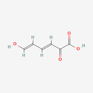 2-Hydroxymuconic semialdehyde