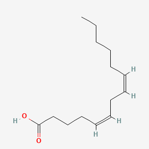 molecular formula C14H24O2 B1238879 cis,cis-Tetradeca-5,8-dienoic acid CAS No. 39039-37-7