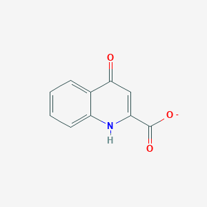 molecular formula C10H6NO3- B1238945 4-oxo-1H-quinoline-2-carboxylate 
