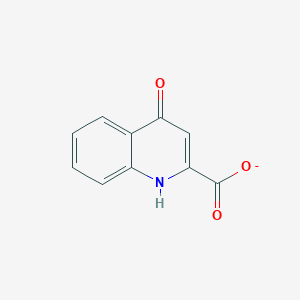 4-oxo-1H-quinoline-2-carboxylate
