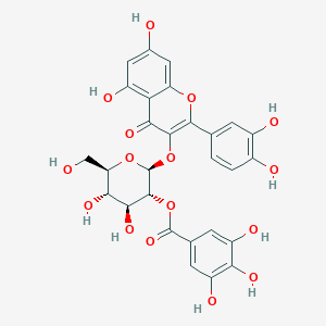 molecular formula C28H24O16 B1238946 [(2S,3R,4S,5S,6R)-2-[2-(3,4-dihydroxyphenyl)-5,7-dihydroxy-4-oxo-chromen-3-yl]oxy-4,5-dihydroxy-6-(hydroxymethyl)tetrahydropyran-3-yl] 3,4,5-trihydroxybenzoate 