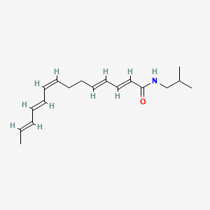 molecular formula C18H27NO B1238959 gamma-Sanshool CAS No. 78886-65-4