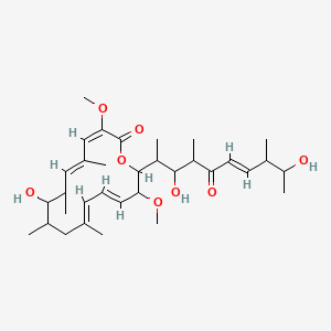 molecular formula C33H52O8 B1239049 (3E,5E,11E,13Z)-16-[(E)-3,9-dihydroxy-4,8-dimethyl-5-oxodec-6-en-2-yl]-8-hydroxy-3,15-dimethoxy-5,7,9,11-tetramethyl-1-oxacyclohexadeca-3,5,11,13-tetraen-2-one CAS No. 100632-37-9