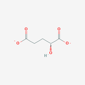 molecular formula C5H6O5-2 B1239116 (2R)-2-hydroxypentanedioate 