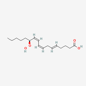 12-Hydroperoxy-5,8,10-heptadecatrienoic acid