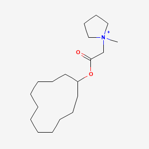 molecular formula C19H36NO2+ B1239182 2-(1-Methyl-1-pyrrolidin-1-iumyl)acetic acid cyclododecyl ester 