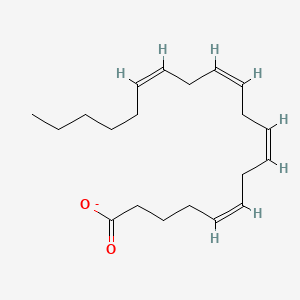 molecular formula C20H31O2- B1239269 Arachidonate 