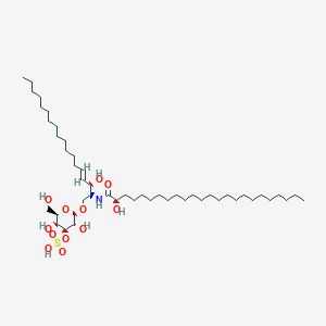 molecular formula C48H93NO12S B1239334 Sulfogalactoceramide 