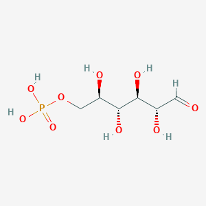 molecular formula C6H13O9P B1239337 D-Allose 6-phosphate 
