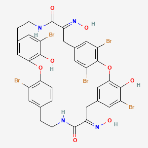 molecular formula C34H27Br5N4O8 B1239368 (12E,25E)-5,16,21,32,36-pentabromo-4,20-dihydroxy-12,25-bis(hydroxyimino)-2,18-dioxa-10,27-diazapentacyclo[28.2.2.214,17.13,7.119,23]octatriaconta-1(32),3,5,7(38),14,16,19,21,23(35),30,33,36-dodecaene-11,26-dione 