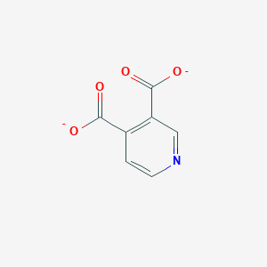molecular formula C7H3NO4-2 B1239396 Cinchomeronate(2-) 