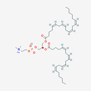 molecular formula C48H81NO8P+ B1239471 1,2-Diarachidonoyl-sn-glycero-3-phosphocholine 