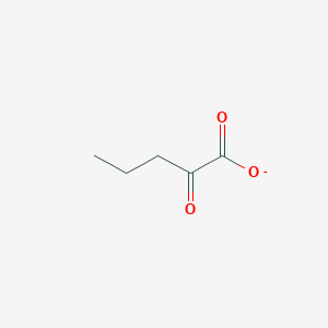 molecular formula C5H7O3- B1239548 2-Oxopentanoate 
