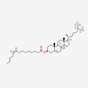 molecular formula C41H70O2 B12395713 14:1 cholesteryl ester-d7 