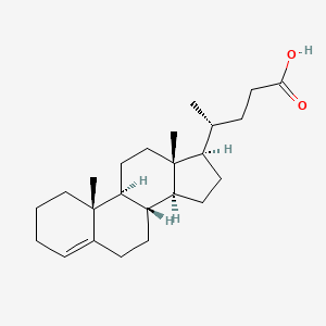 molecular formula C24H38O2 B1239582 Chol-4-en-24-oic Acid 