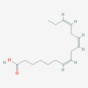 molecular formula C16H26O2 B1239634 7,10,13-Hexadecatrienoic acid CAS No. 7561-64-0
