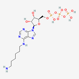 molecular formula C16H29N6O13P3 B1239709 N(6)-Aminohexyladenosine triphosphate CAS No. 53602-93-0