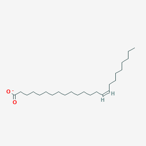 molecular formula C24H45O2- B1239763 (15Z)-tetracosenoate 
