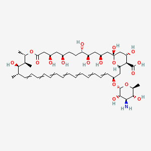 molecular formula C47H73NO17 B1239772 (1R,3S,5R,6S,9R,11R,15S,16S,17R,18S,33R,35S,36R,37S)-33-[(2R,3S,4R,5R,6S)-4-amino-3,5-dihydroxy-6-methyloxan-2-yl]oxy-1,3,5,6,9,11,17,37-octahydroxy-15,16,18-trimethyl-13-oxo-14,39-dioxabicyclo[33.3.1]nonatriaconta-19,21,23,25,27,29,31-heptaene-36-carboxylic acid 
