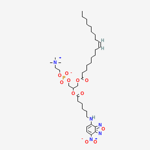 molecular formula C38H64N5O11P B1239819 Nbd-ocpc CAS No. 99566-32-2