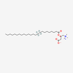 molecular formula C31H61NO4 B12398735 24:0 L-carnitine-d4 