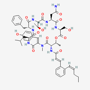 molecular formula C54H68N8O13 B1239986 WS9326A 