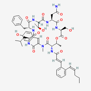 (E)-N-[(3S,6S,9S,12R,15S,18E,21S,22R)-6-(2-amino-2-oxoethyl)-12-benzyl-9-[(1S)-1-hydroxyethyl]-3-(hydroxymethyl)-18-[(4-hydroxyphenyl)methylidene]-19,22-dimethyl-15-(2-methylpropyl)-2,5,8,11,14,17,20-heptaoxo-1-oxa-4,7,10,13,16,19-hexazacyclodocos-21-yl]-3-[2-[(Z)-pent-1-enyl]phenyl]prop-2-enamide
