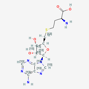molecular formula C14H20N6O5S B12400242 SAH-13C10 