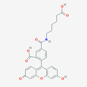 molecular formula C54H46N2O16 B1240045 FluorX 5-isomer CAS No. 265981-56-4