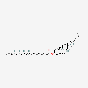 molecular formula C45H72O2 B1240067 [(3S,8S,9S,10R,13R,14S,17R)-10,13-dimethyl-17-[(2R)-6-methylheptan-2-yl]-2,3,4,7,8,9,11,12,14,15,16,17-dodecahydro-1H-cyclopenta[a]phenanthren-3-yl] (9E,11E,13E,15E)-octadeca-9,11,13,15-tetraenoate CAS No. 72467-67-5