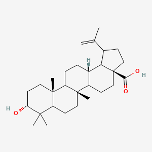 molecular formula C29H46O3 B1240074 (1R,3aS,5bS,9R,11aR,13aS)-9-hydroxy-5b,8,8,11a-tetramethyl-1-prop-1-en-2-yl-2,3,4,5,5a,6,7,7a,9,10,11,11b,12,13,13a,13b-hexadecahydro-1H-cyclopenta[a]chrysene-3a-carboxylic acid 