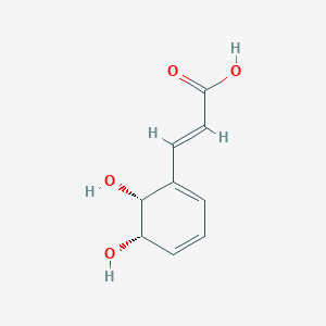 molecular formula C9H10O4 B1240180 (E)-3-[(5S,6R)-5,6-dihydroxycyclohexa-1,3-dienyl]acrylic acid 