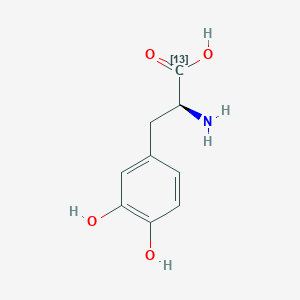 molecular formula C9H11NO4 B12401993 L-Dopa-13C 